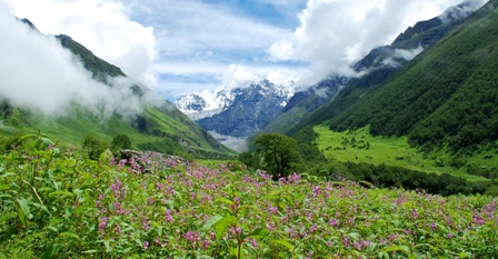 b_Valley_of_flowers_Garhwal_Uttarakhand_India